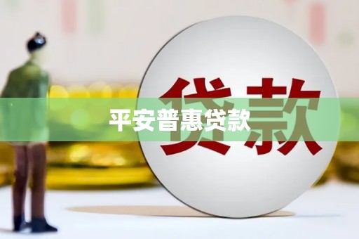 隆阳平安普惠贷款