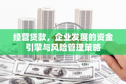 隆阳经营贷款，企业发展的资金引擎与风险管理策略