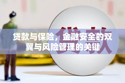 隆阳贷款与保险，金融安全的双翼与风险管理的关键