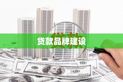 隆阳贷款品牌建设