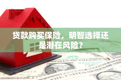 隆阳贷款购买保险，明智选择还是潜在风险？