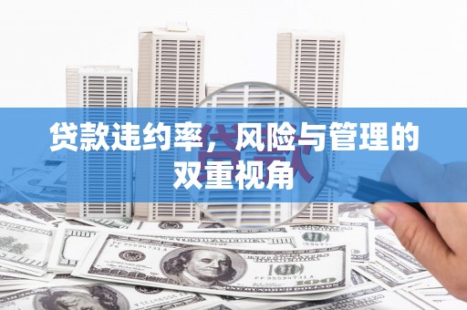 隆阳贷款违约率，风险与管理的双重视角