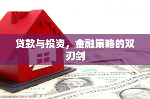 隆阳贷款与投资，金融策略的双刃剑