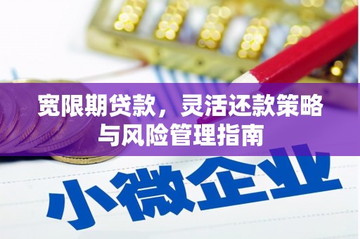 隆阳宽限期贷款，灵活还款策略与风险管理指南