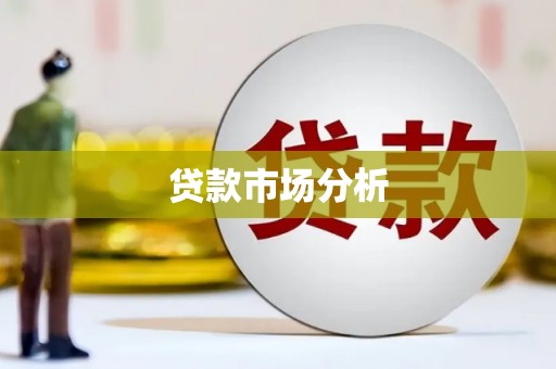 隆阳贷款市场分析
