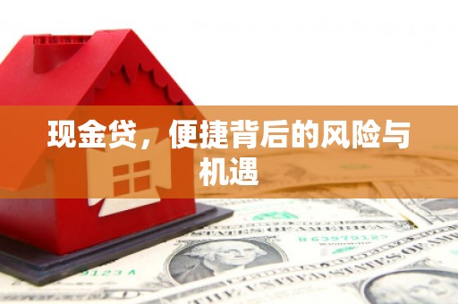 隆阳现金贷，便捷背后的风险与机遇