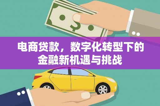 隆阳电商贷款，数字化转型下的金融新机遇与挑战