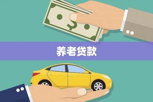 隆阳养老贷款