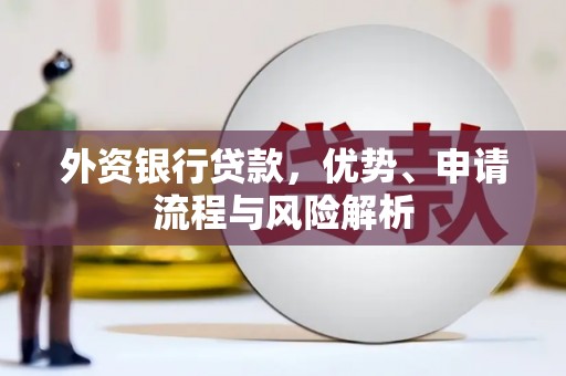 隆阳外资银行贷款，优势、申请流程与风险解析