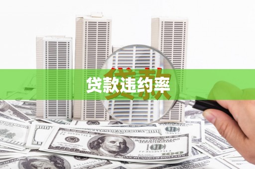 隆阳贷款违约率