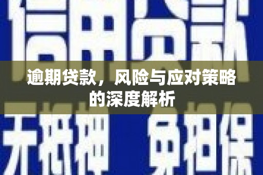 隆阳逾期贷款，风险与应对策略的深度解析