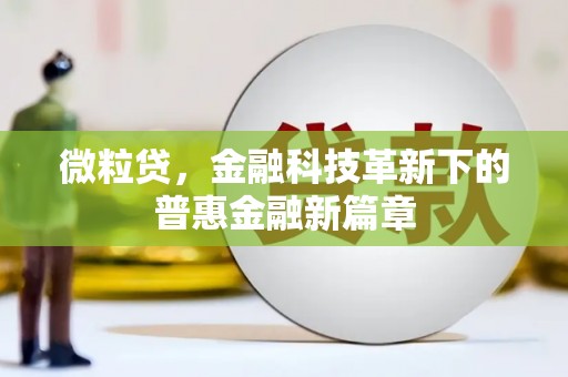 隆阳微粒贷，金融科技革新下的普惠金融新篇章