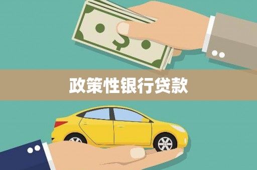 隆阳政策性银行贷款