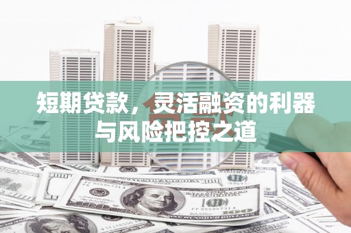 隆阳短期贷款，灵活融资的利器与风险把控之道