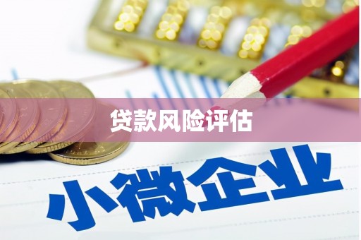 隆阳贷款风险评估
