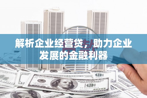 隆阳解析企业经营贷，助力企业发展的金融利器