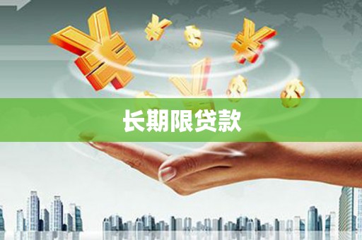 隆阳长期限贷款
