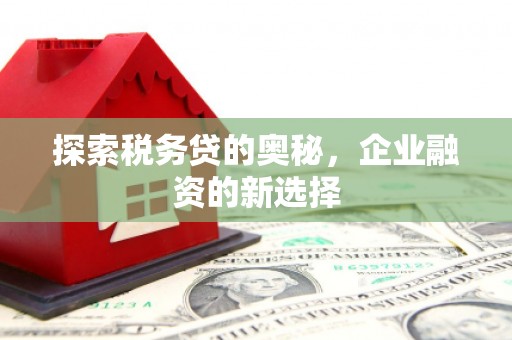 隆阳探索税务贷的奥秘，企业融资的新选择