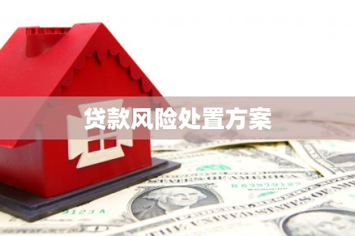 隆阳贷款风险处置方案