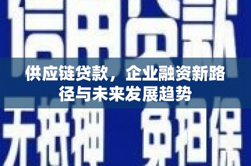 隆阳供应链贷款，企业融资新路径与未来发展趋势