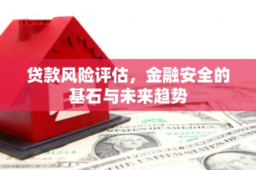 隆阳贷款风险评估，金融安全的基石与未来趋势