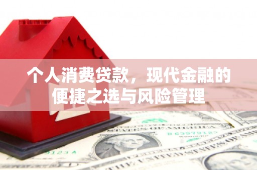 隆阳个人消费贷款，现代金融的便捷之选与风险管理