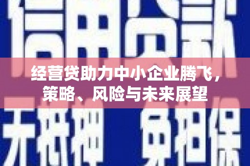 隆阳经营贷助力中小企业腾飞，策略、风险与未来展望