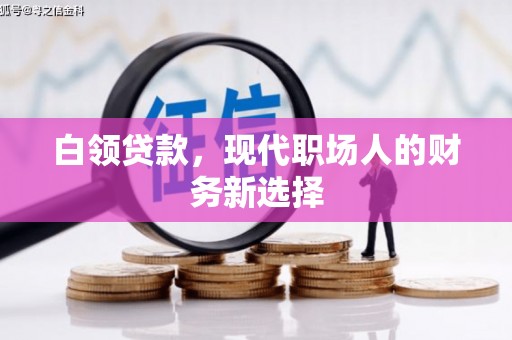 隆阳白领贷款，现代职场人的财务新选择