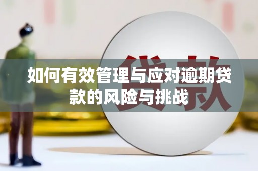 隆阳如何有效管理与应对逾期贷款的风险与挑战