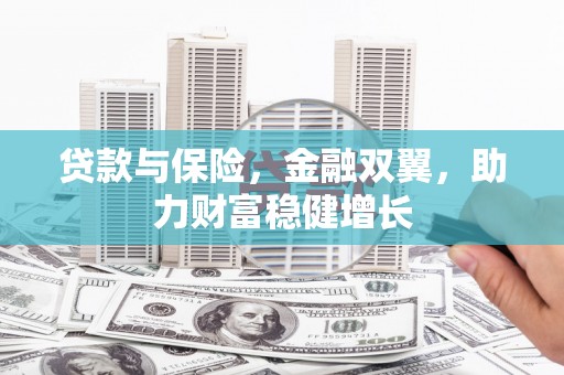 隆阳贷款与保险，金融双翼，助力财富稳健增长