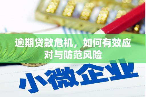 隆阳逾期贷款危机，如何有效应对与防范风险
