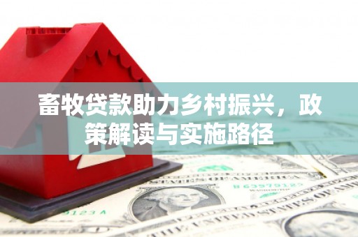 隆阳畜牧贷款助力乡村振兴，政策解读与实施路径