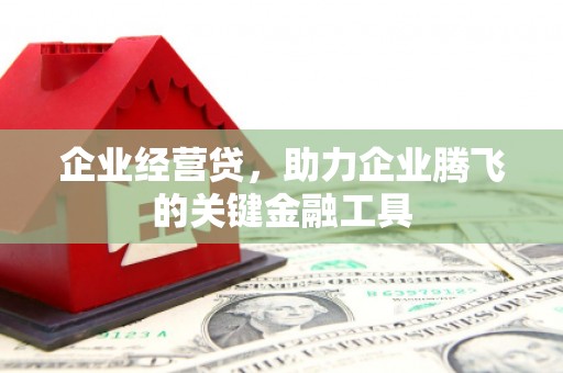 隆阳企业经营贷，助力企业腾飞的关键金融工具