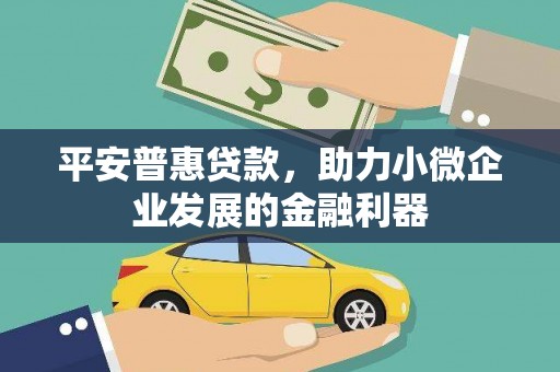 隆阳平安普惠贷款，助力小微企业发展的金融利器