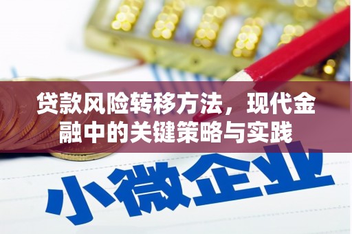 隆阳贷款风险转移方法，现代金融中的关键策略与实践