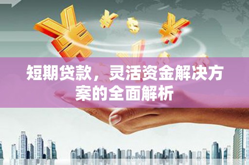 隆阳短期贷款，灵活资金解决方案的全面解析