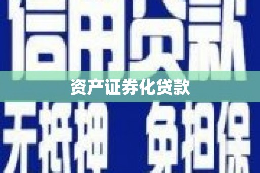 隆阳资产证券化贷款