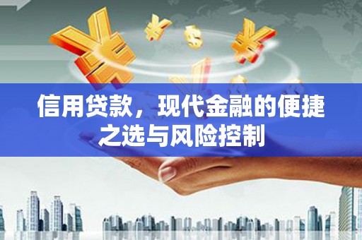 隆阳信用贷款，现代金融的便捷之选与风险控制