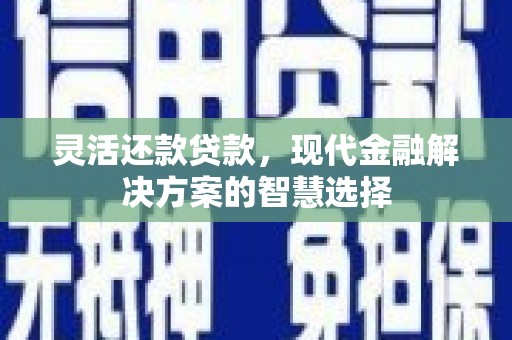 隆阳灵活还款贷款，现代金融解决方案的智慧选择