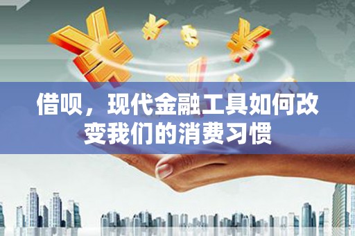 隆阳借呗，现代金融工具如何改变我们的消费习惯