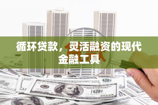 隆阳循环贷款，灵活融资的现代金融工具