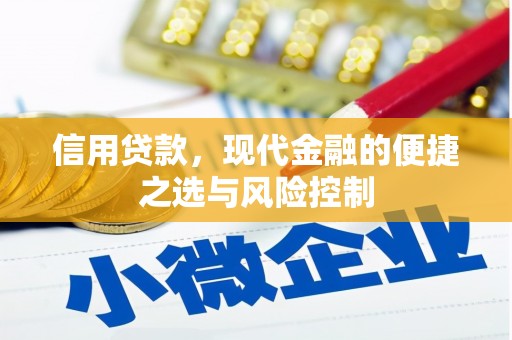 隆阳信用贷款，现代金融的便捷之选与风险控制