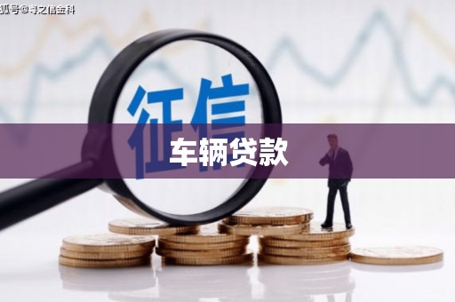 隆阳车辆贷款