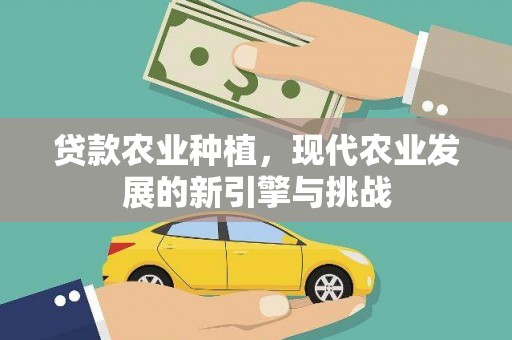 隆阳贷款农业种植，现代农业发展的新引擎与挑战