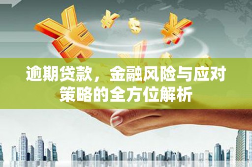 隆阳逾期贷款，金融风险与应对策略的全方位解析