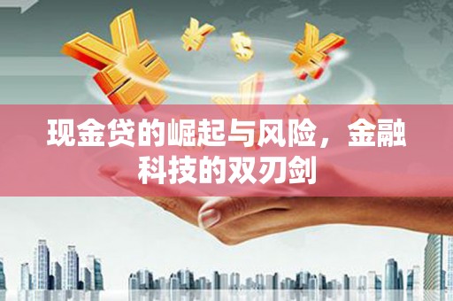隆阳现金贷的崛起与风险，金融科技的双刃剑