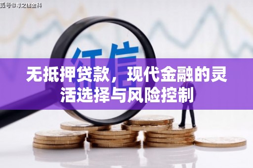 隆阳无抵押贷款，现代金融的灵活选择与风险控制