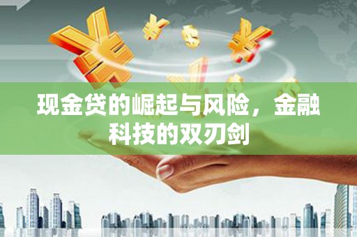隆阳现金贷的崛起与风险，金融科技的双刃剑