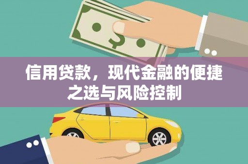 隆阳信用贷款，现代金融的便捷之选与风险控制