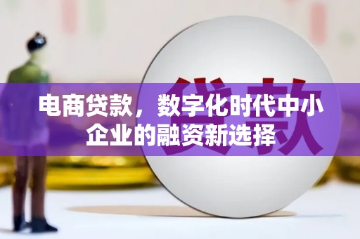 隆阳电商贷款，数字化时代中小企业的融资新选择